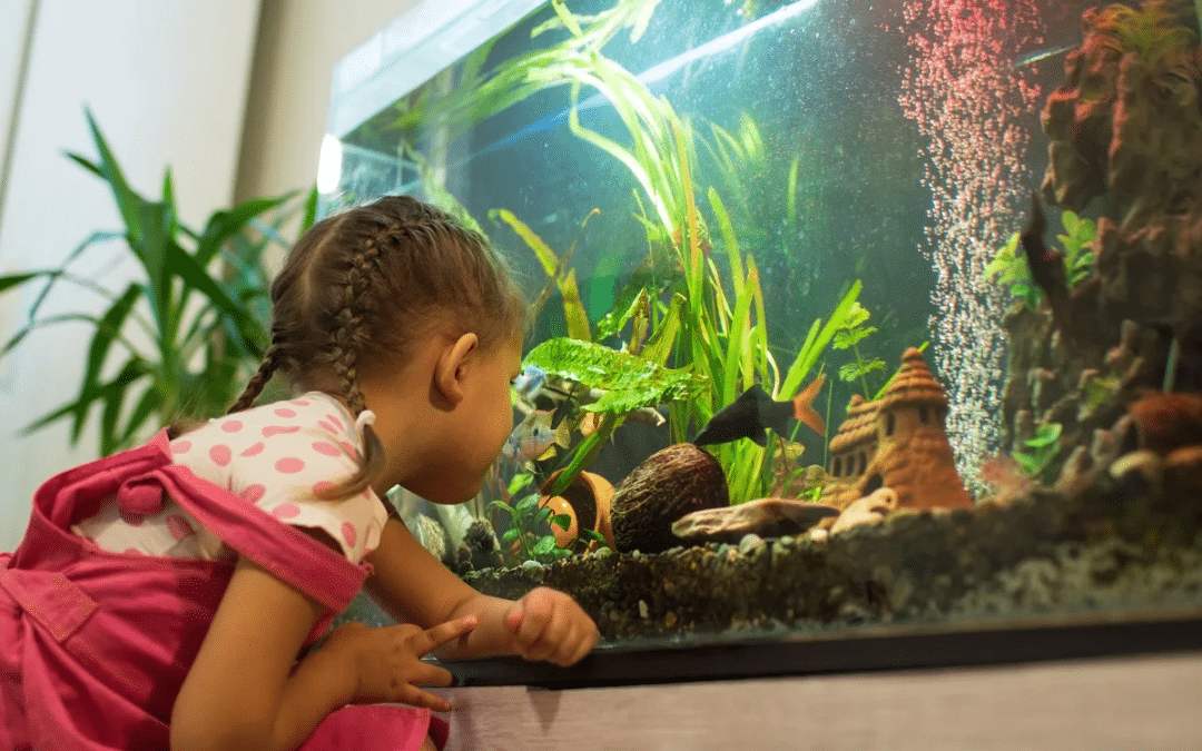 Choosing the Right Size for Your Aquarium